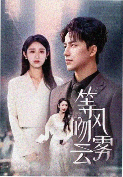 我在县城开诊所短剧海报